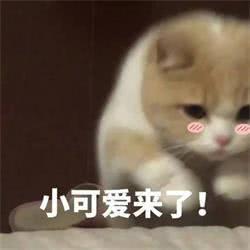 我没有不开心表情包重要