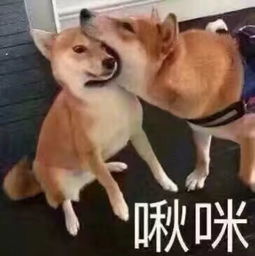  太难了清河第一批穷人名单曝光快看有你吗