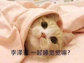  恋与制作人表情包