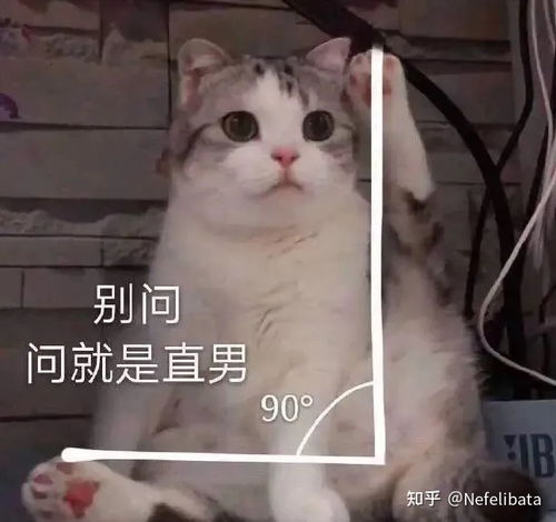  哪种马超迷妹的id可以引起俘获马超玩家的心