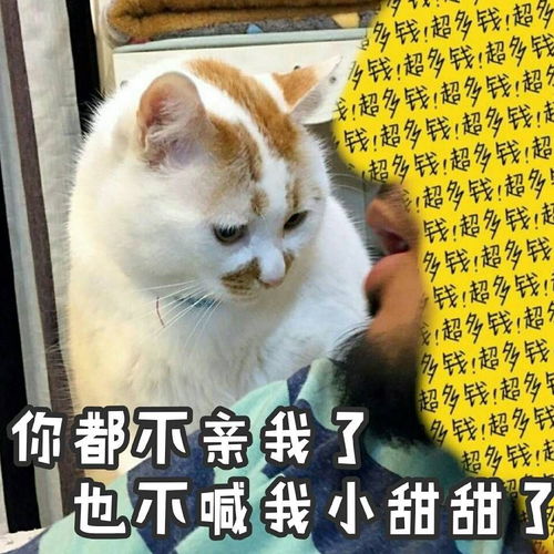  有最近流行的表情包吗