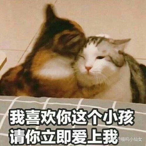  有一个超可爱的女朋友,是种怎样的体验