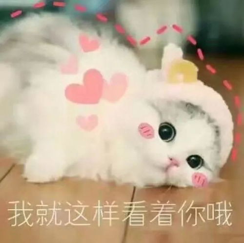  看了都挺好,差点被苏大强这一点圈粉了