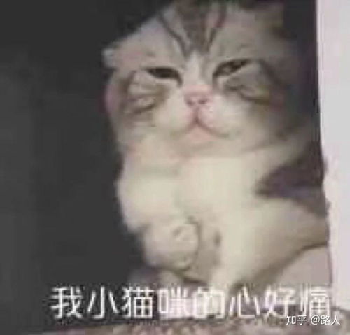  可不可以说说你选择通信工程专业的理由