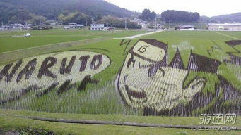 鸣人表情包稻田画