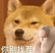  终于来了,这可能是wps史上最重大的升级