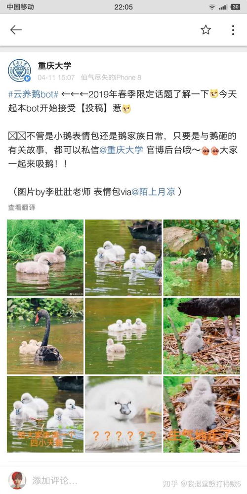 我贼6表情包答题