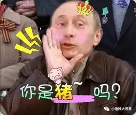 很无聊的表情包说俄语