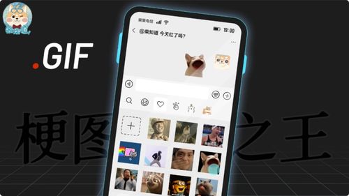制霸表情包gif是如何成为梗图之王的 制霸表情包gif是如何成为梗图之王的