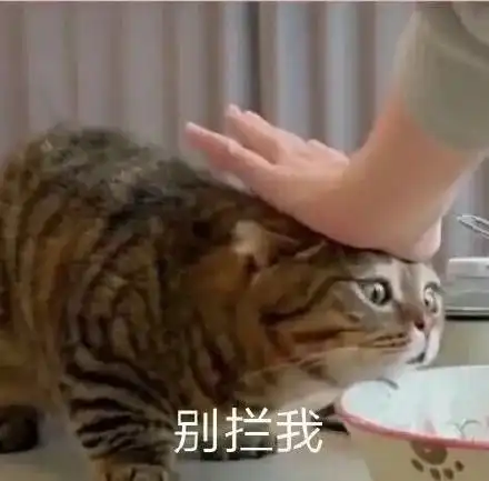 微信沙雕聊天表情包好慌问题大了 微信沙雕聊天表情包好慌问题大了