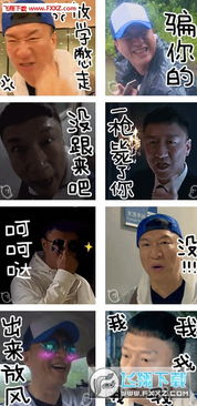  极限挑战孙红雷表情包图片预览