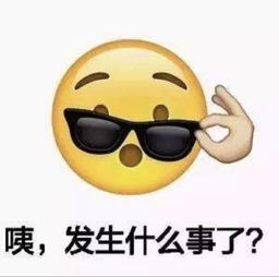  男子法庭上辱骂被告律师抡起凳子要打人法院罚款5000元,限期缴纳