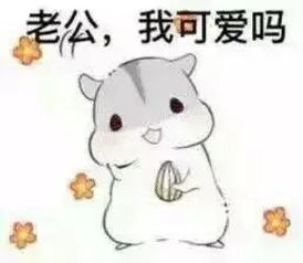  南方老公和东北老公的区别,欢迎继续补充