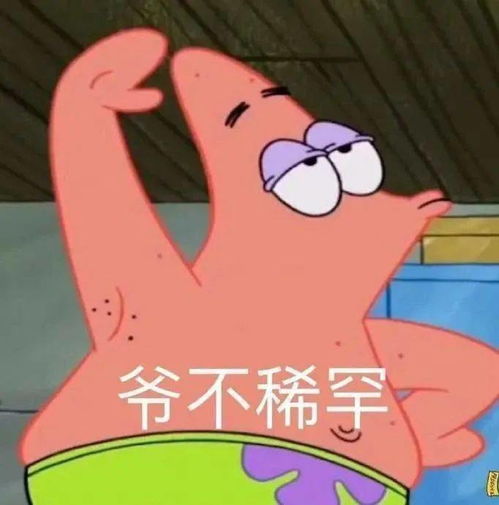  最全女人年终总结公布每个表情包都给灵魂当头一棒,这年没法过了哈哈哈哈哈