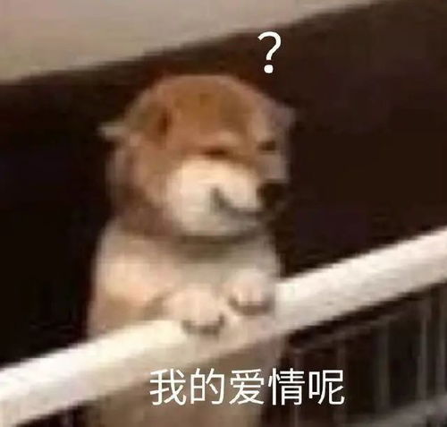  博物螺蛳真香,5000年前的古人早就吃上了