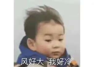 这些年承包了你表情包半壁江山的小萌娃们 这些年承包了你表情包半壁江山的小萌娃们