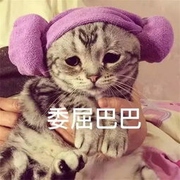  太早熟了吧这个14岁的小萝莉甜过baby美过水原希子