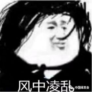  极地,你可能不知道的奇闻异事前篇绿会极地研究组