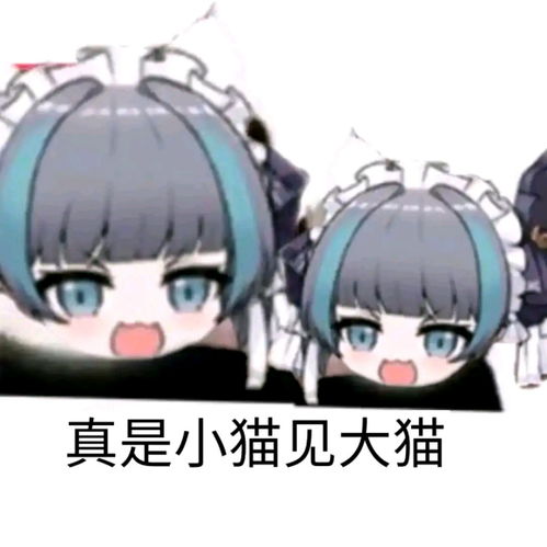  平时收藏的沙雕图全是猫猫