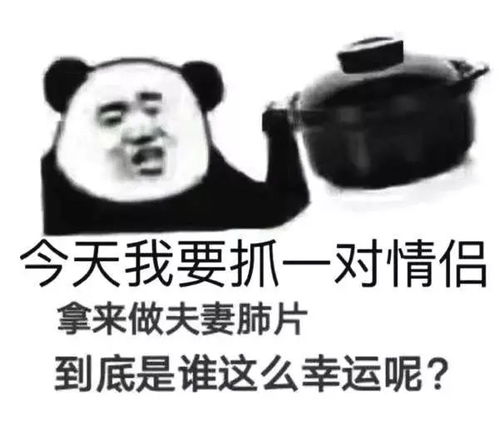 恋爱中的表情包打扰了