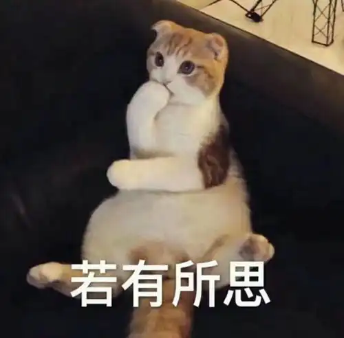 一些好看的猫猫表情包 一些好看的猫猫表情包