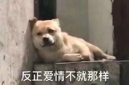  大型沙雕搞笑表情包哈哈