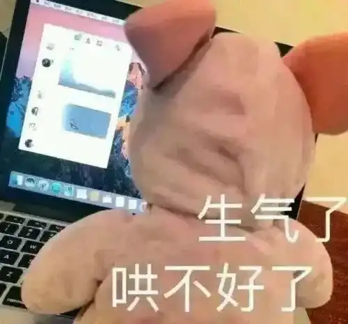 给花表情包求和