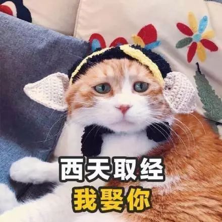 撩人情话女撩男表情包