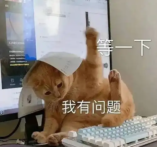  追光这两项城市运动新热潮,你心动了没