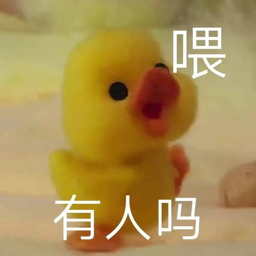  为什么和女朋友打赌我输了她却生气了...