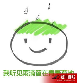 绿帽表情包大全扔绿帽表情包坚强绿帽表情包当然是选择原谅她