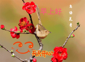  清明节早上好表情大全动态图片2019漂亮早上问候语图片带字