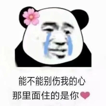  表情包我小叮当今天要搞事