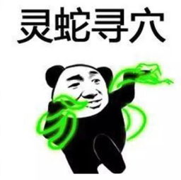  用了功夫表情包,行走江湖不挨刀