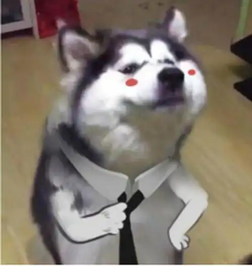  宝宝保险有哪些