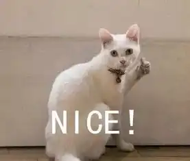 你常用的捂脸表情被抢注商标还能愉快聊天吗腾讯回应了 你常用的捂脸表情被抢注商标还能愉快聊天吗腾讯回应了