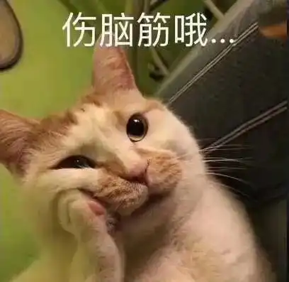 小猫咪能有多粘人歪果网友反正我想自己静静 小猫咪能有多粘人歪果网友反正我想自己静静