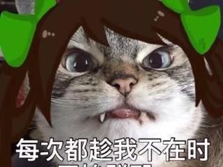 我贼6表情包王者荣耀