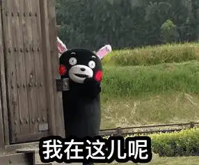 好运泡泡澡的相册沙雕表情包头像 好运泡泡澡的相册沙雕表情包头像