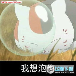  夏目友情帐喵咪老师萌萌哒表情包下载夏目友情帐喵咪老师萌萌哒表情包高清版下载飞翔下载