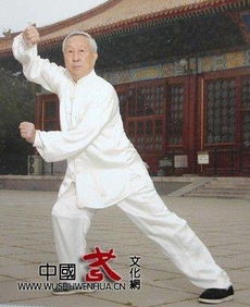  李秉慈老师讲解吴式太极拳竞赛套路