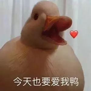  好物我的少女心和终身事业ta都能满足