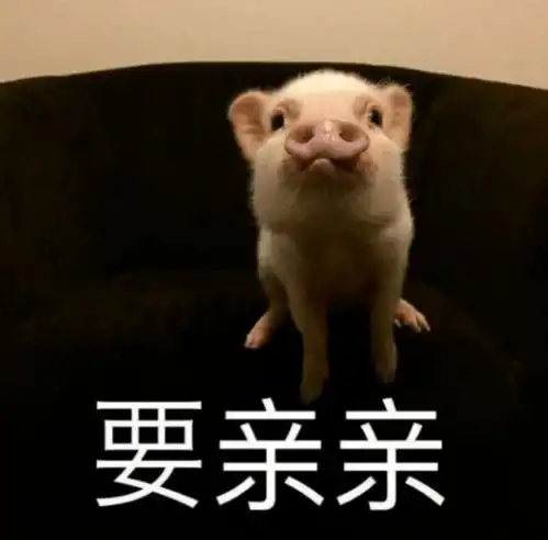 公开恋情被嘲4年后,关晓彤终于放手了 公开恋情被嘲4年后,关晓彤终于放手了