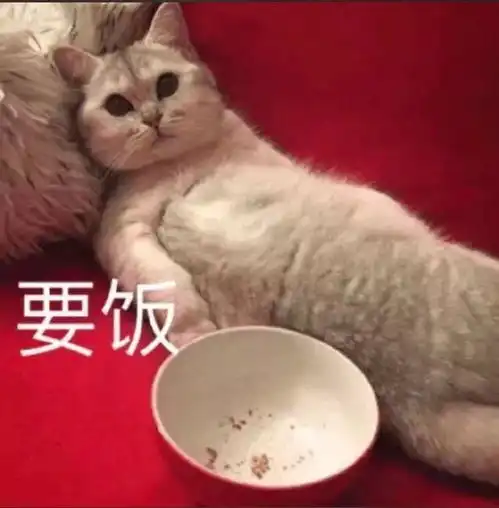 近期沙雕图 近期沙雕图