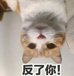 幽默笑话兄弟前后花了几万追ktv服务员,遭拒绝后,哥们说300 幽默笑话兄弟前后花了几万追ktv服务员,遭拒绝后,哥们说300