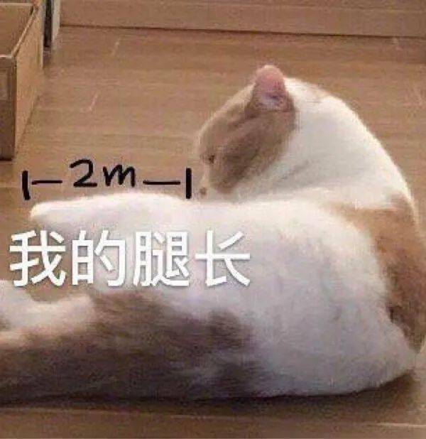 今天的表情包很可爱错过要哭 今天的表情包很可爱错过要哭