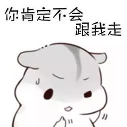  平安小胡视频直播全集平安小胡资料大全yy官方