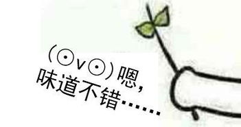  对方不想和你说话,并扔了个蓝瘦香菇味的表情包