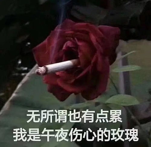  祝白头偕老