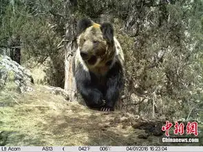 这组偷拍的照片你一定要看太难得了 这组偷拍的照片你一定要看太难得了